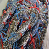 海南藏族自治州海鲜活体空运